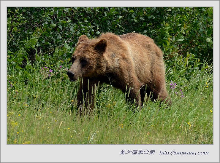 http://tomwang.com/download/US2_1801.jpg